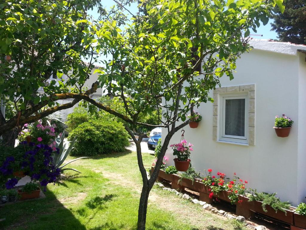 Apartments Kiara Sabunike 836 Privlaka  Pokój zdjęcie