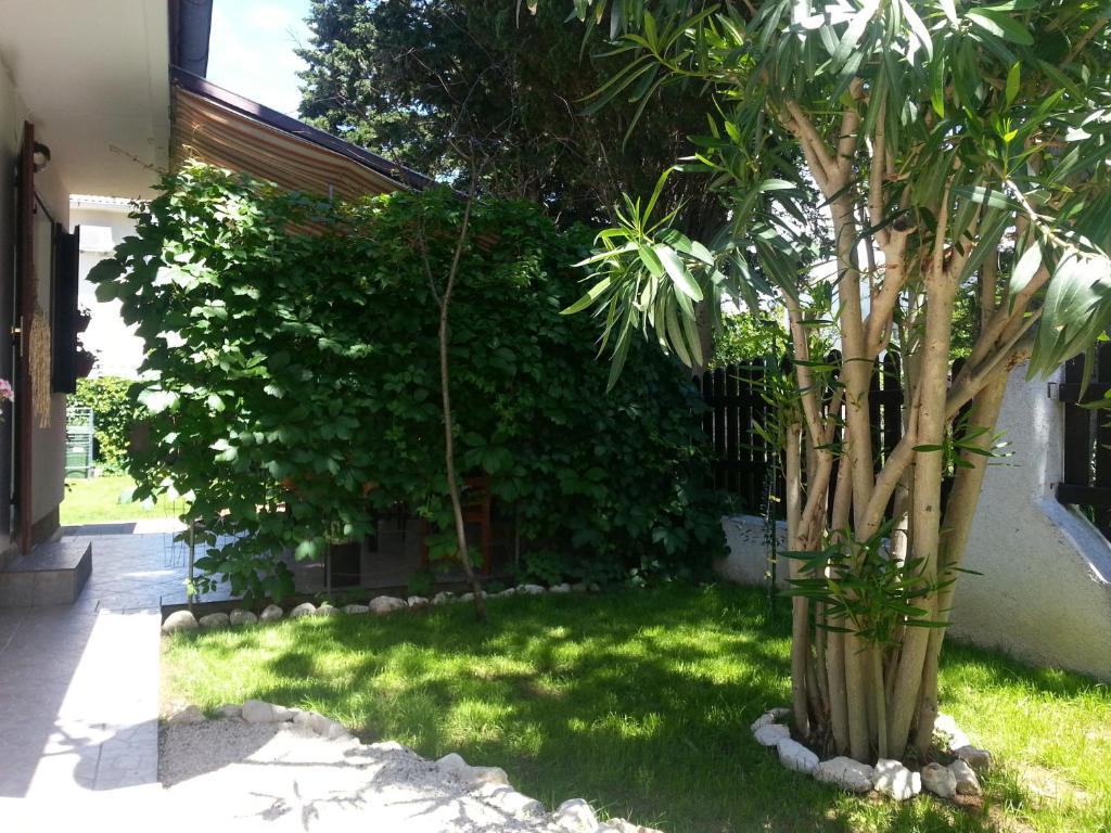 Apartments Kiara Sabunike 836 Privlaka  Pokój zdjęcie